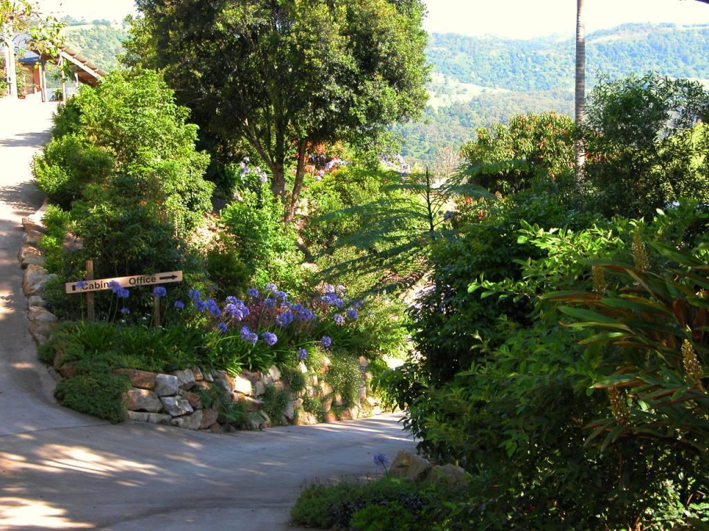 מלני Top Of The Hill מראה חיצוני תמונה